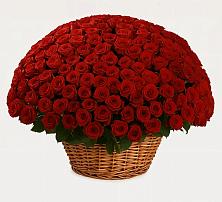 Премиум букет из: Розы в Ерёминской